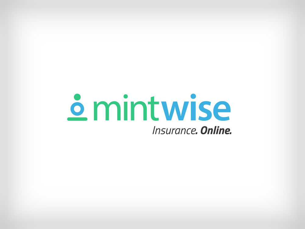 Identity and Visual Brand Guidelines for Mintwise