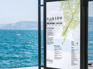 Poster Campaign : Tree Revival